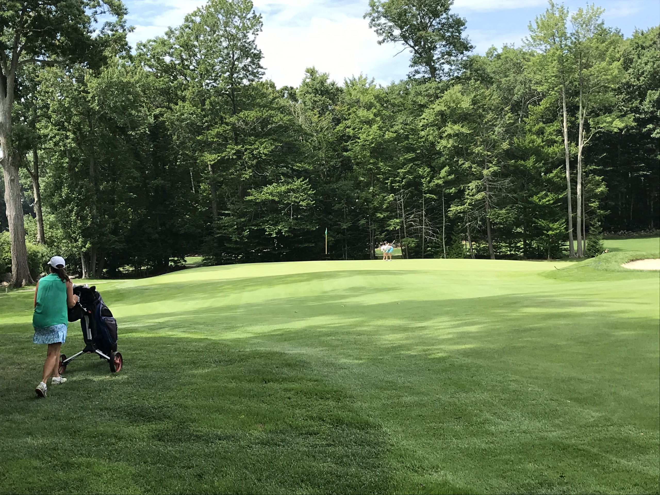 15+ Evansville Golf Courses