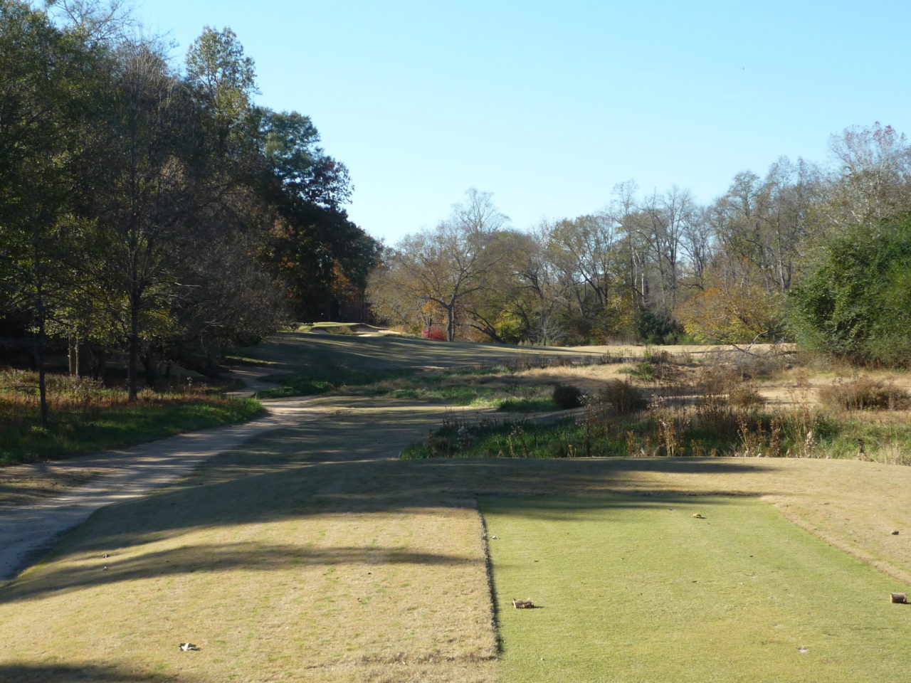 Musgrove Mill Golf Club Tiger Golf Traveler