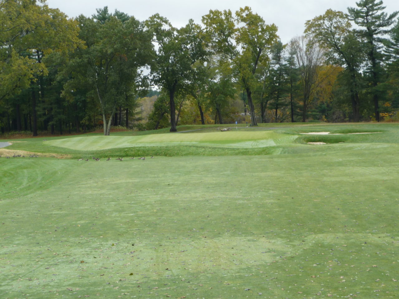 Vesper Country Club Tiger Golf Traveler