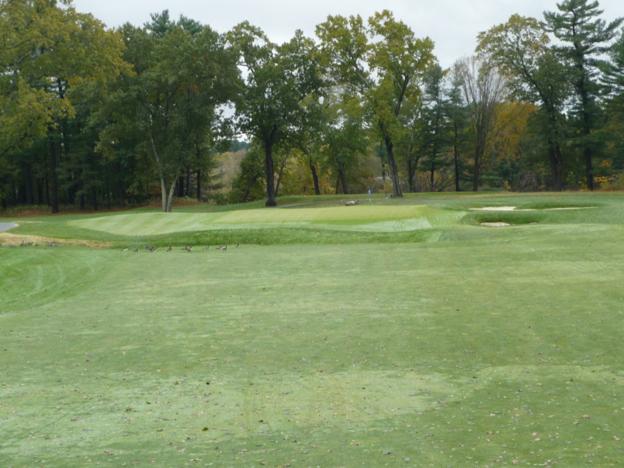 Vesper Country Club Tiger Golf Traveler