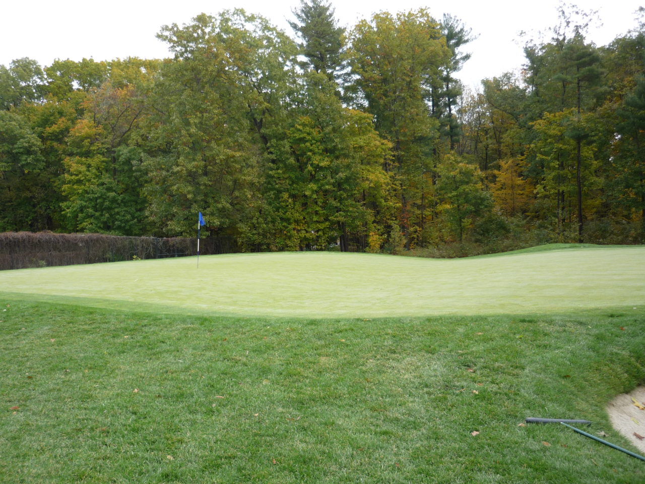 Vesper Country Club Tiger Golf Traveler