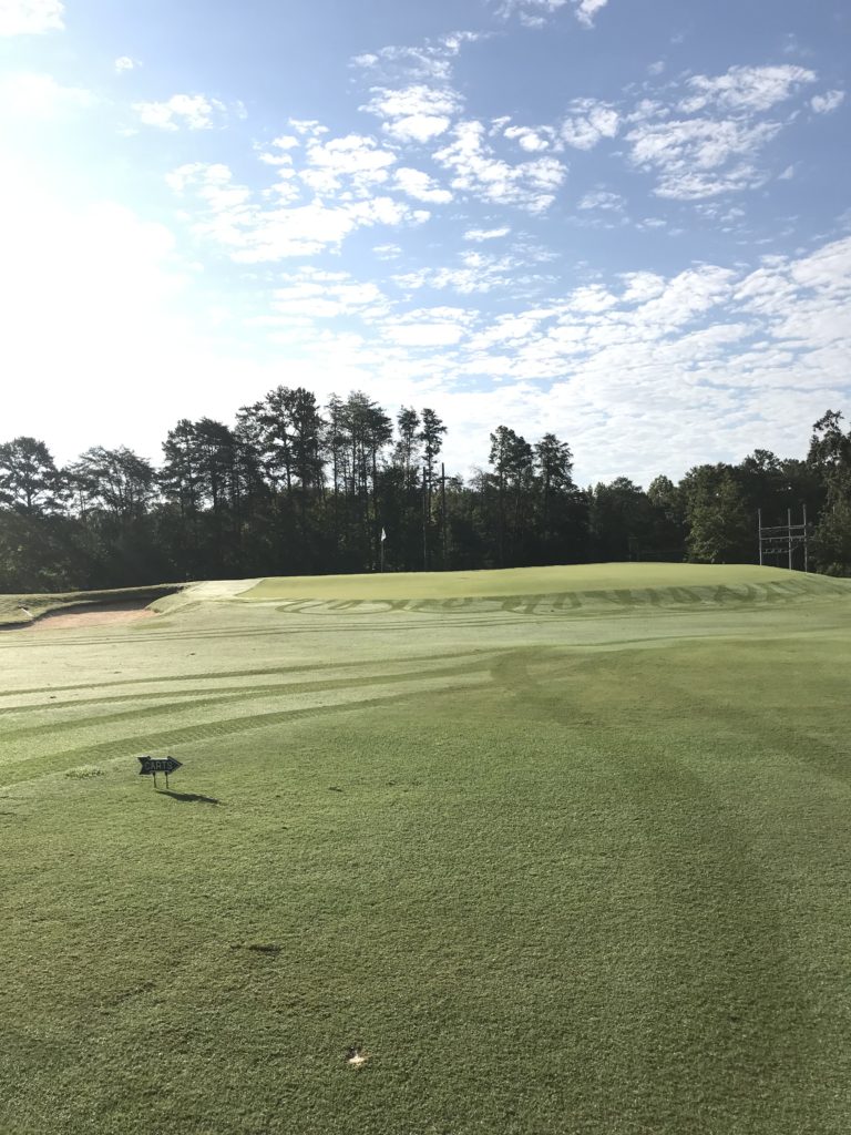 Furman University Golf Club Tiger Golf Traveler