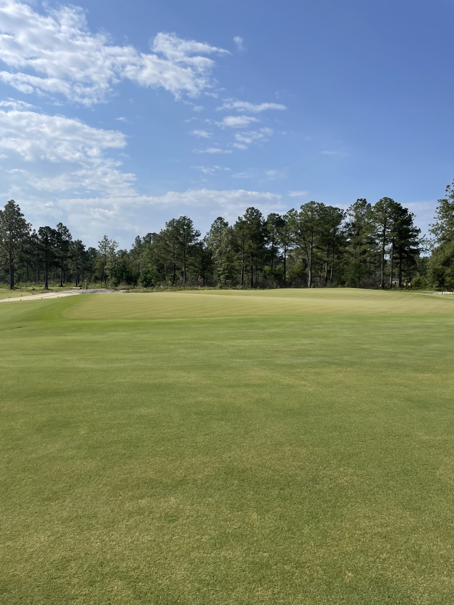 The Tree Farm – Tiger Golf Traveler